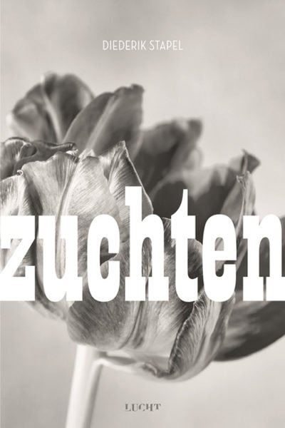 Zuchten