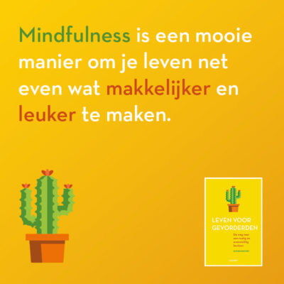 Mindfulness maakt leven makkelijker