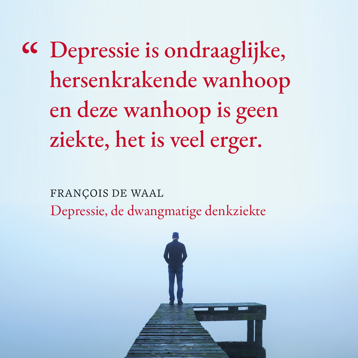 Depressie de dwangmatige denkziekte Francois de Waal