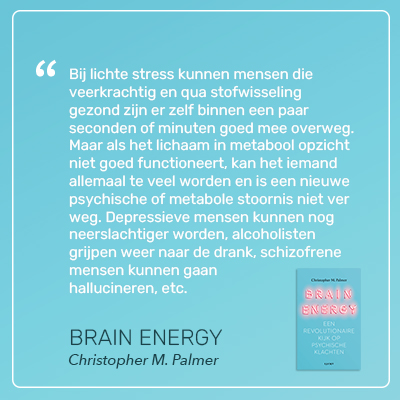 Brain Energy Christopher M Palmer