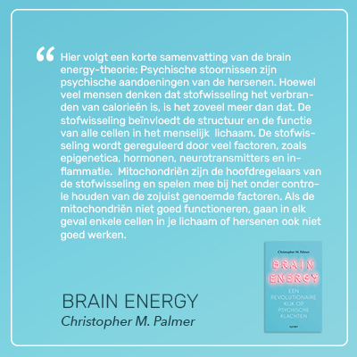 Brain Energy Christopher M Palmer