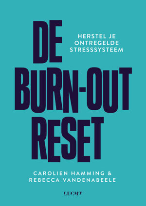 Burn-out reset Carolien Hamming Rebecca Vandenabeele