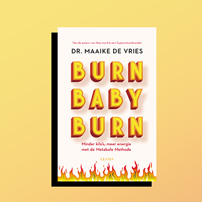 Schaamte Teus Lebbing recensie